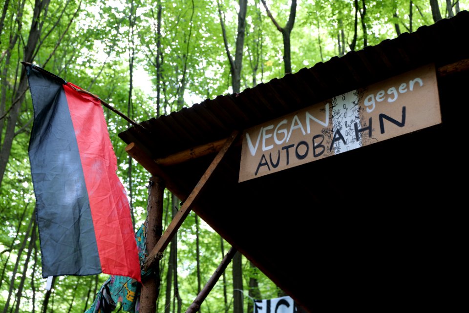 Dannenrode forest occupation 2020-08-21 58