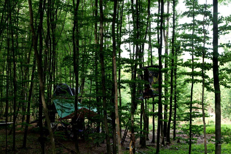 Dannenrode forest occupation 2020-08-21 167
