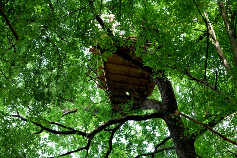 Dannenrode forest occupation 2020-08-21 169