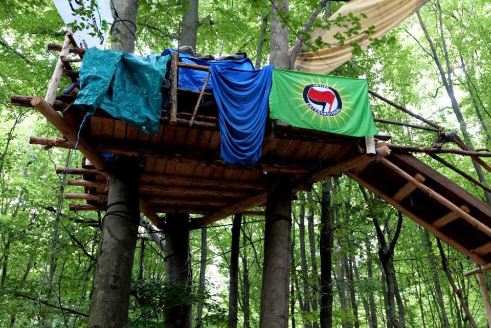 Dannenrode forest occupation 2020-08-21 107