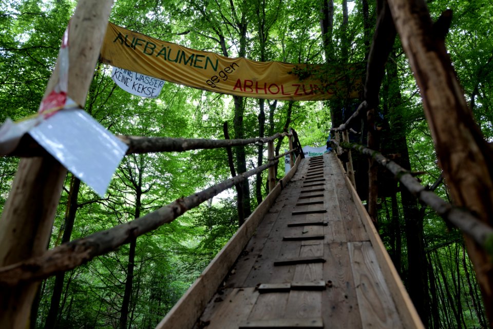 Dannenrode forest occupation 2020-08-21 115