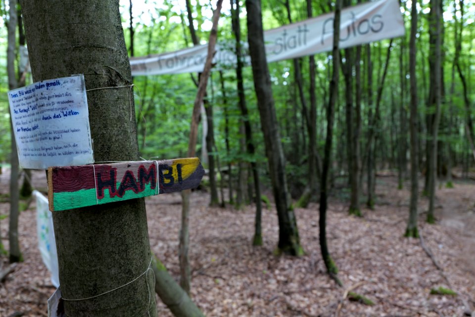 Dannenrode forest occupation 2020-08-21 18