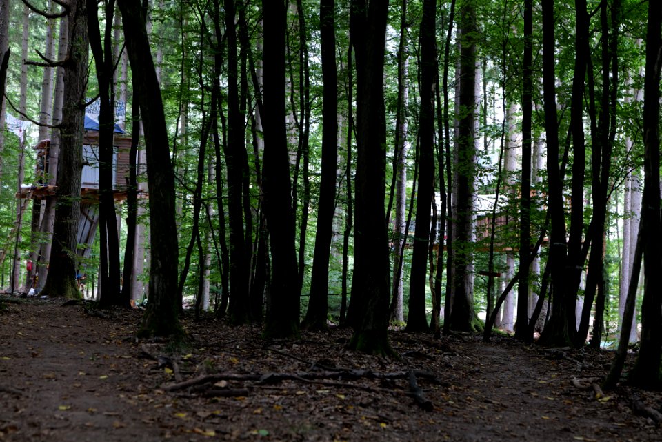 Dannenrode forest occupation 2020-08-21 161