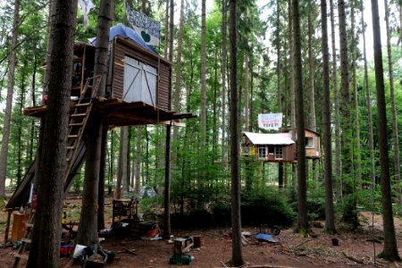 Dannenrode forest occupation 2020-08-21 153
