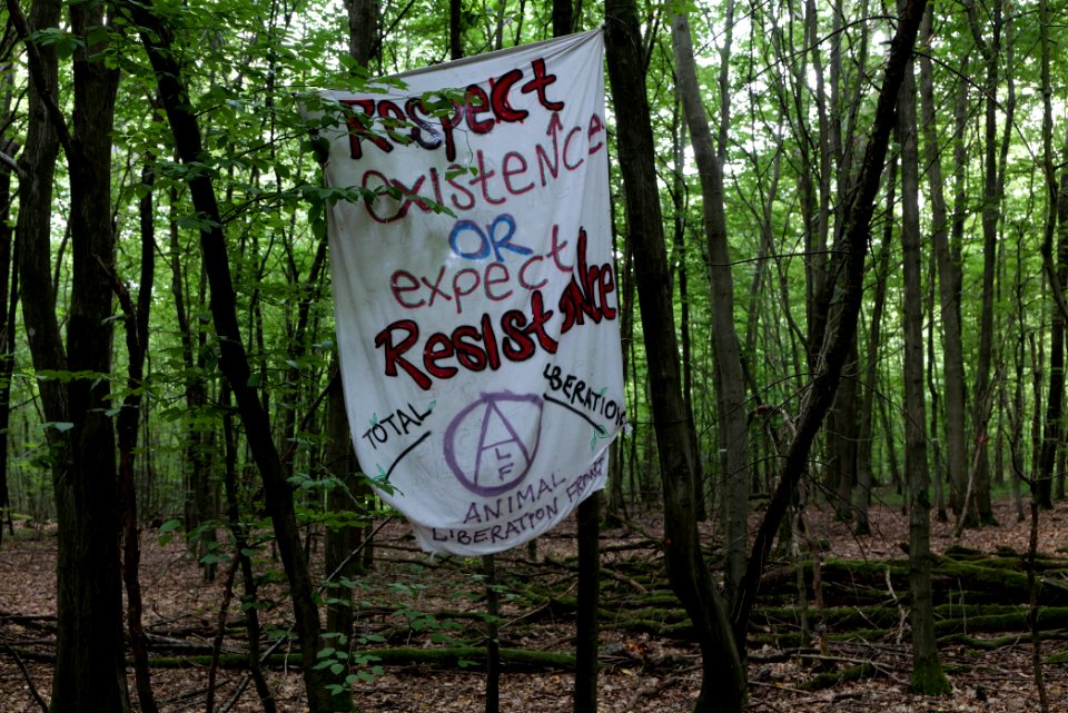 Dannenrode forest occupation 2020-08-21 23