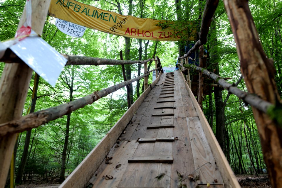 Dannenrode forest occupation 2020-08-21 118