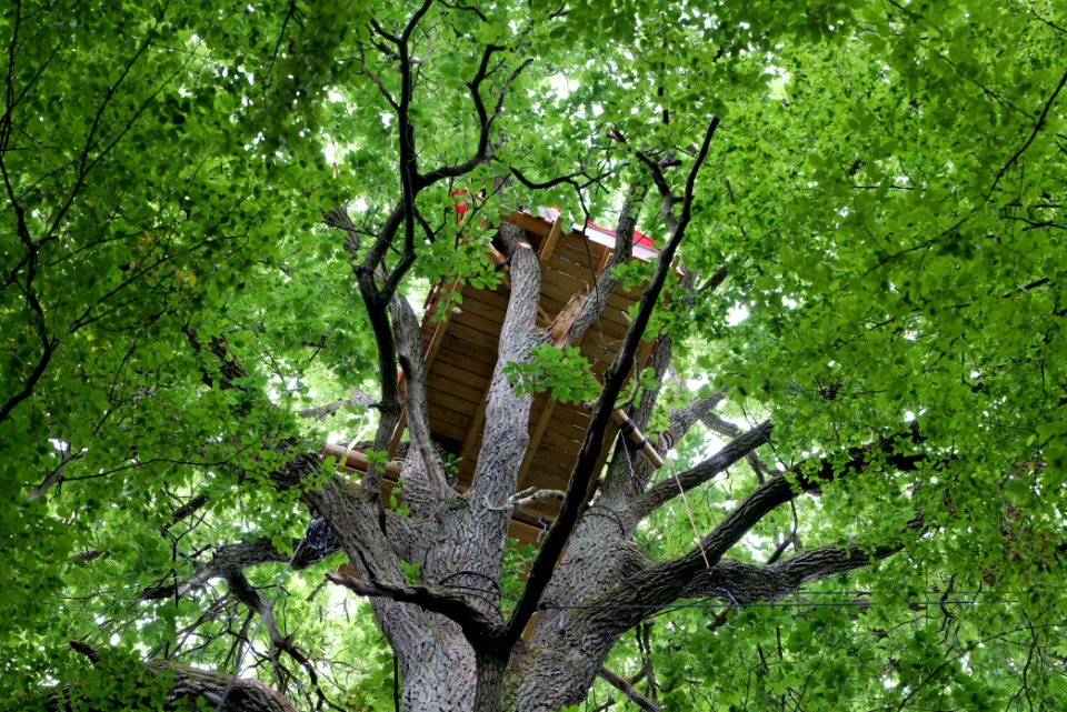 Dannenrode forest occupation 2020-08-21 45