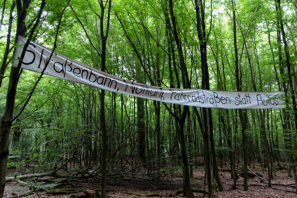 Dannenrode forest occupation 2020-08-21 16