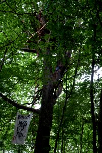 Dannenrode forest occupation 2020-08-21 22