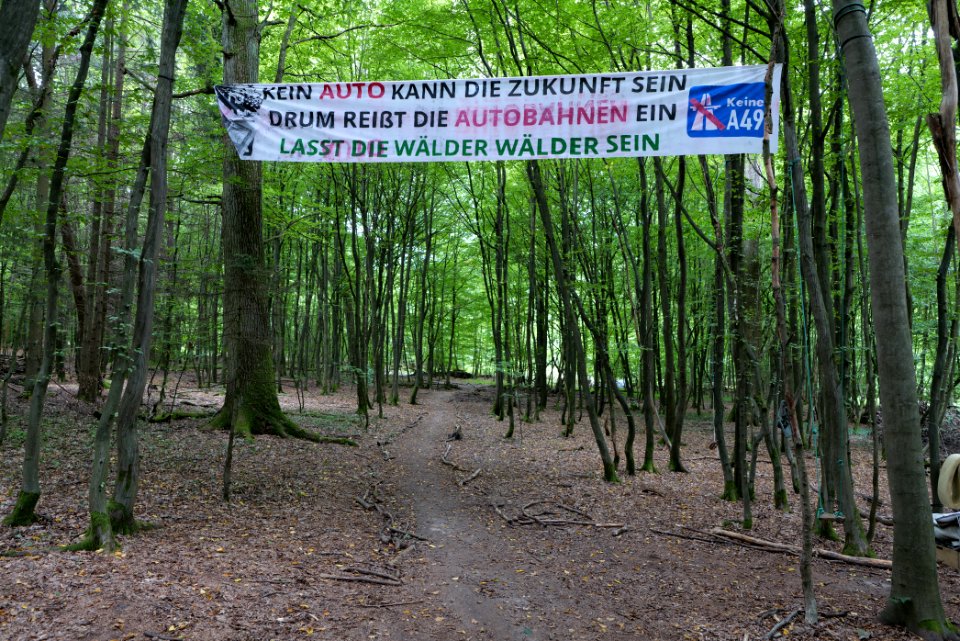Dannenrode forest occupation 2020-08-21 56