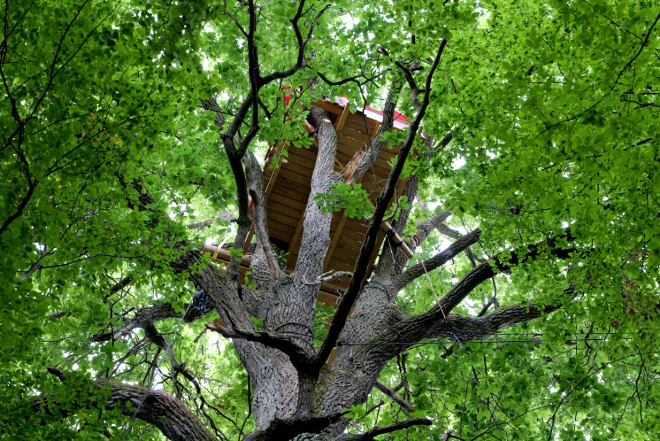 Dannenrode forest occupation 2020-08-21 46