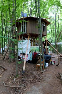 Dannenrode forest occupation 2020-08-21 61
