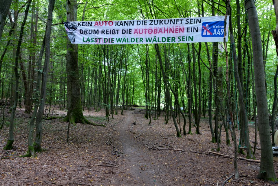 Dannenrode forest occupation 2020-08-21 55