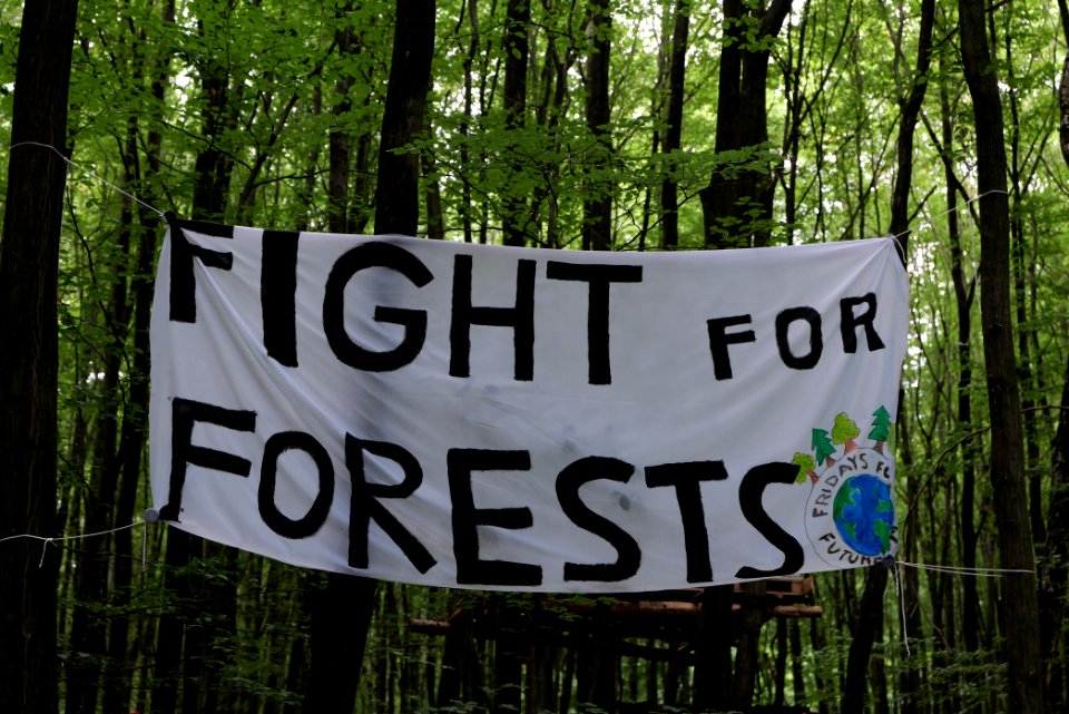 Dannenrode forest occupation 2020-08-21 51