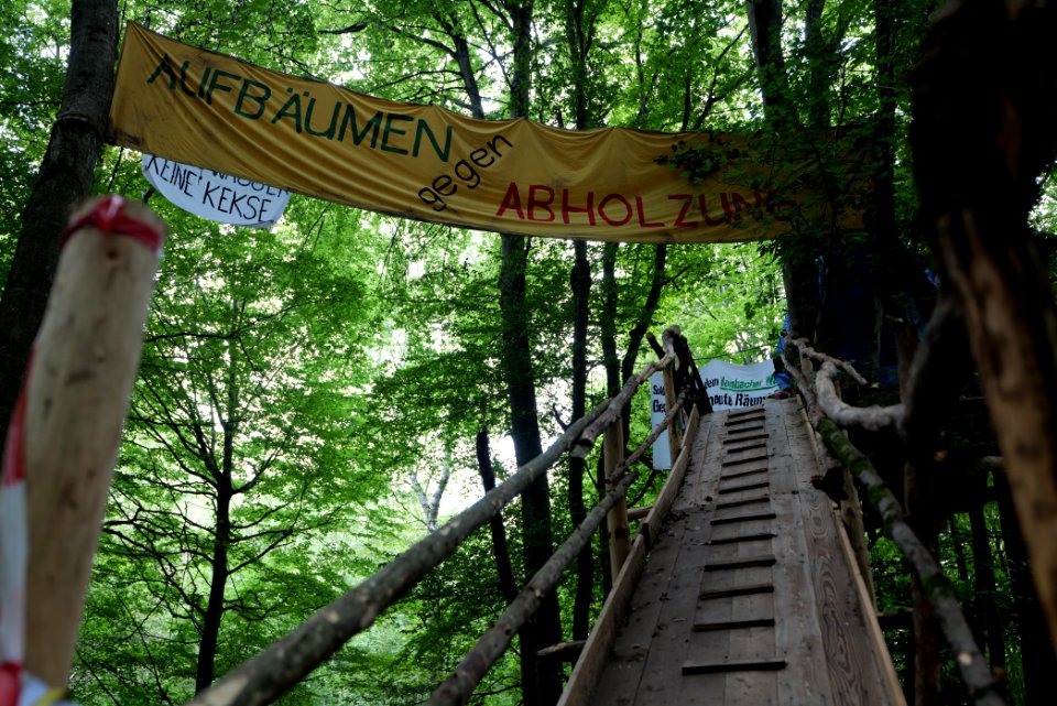 Dannenrode forest occupation 2020-08-21 114