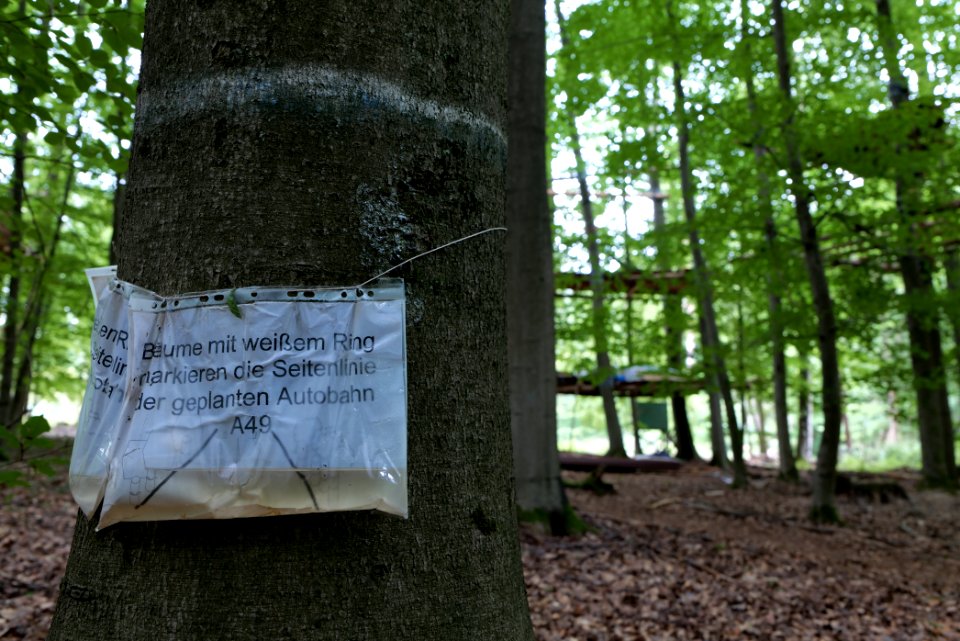 Dannenrode forest occupation 2020-08-21 10