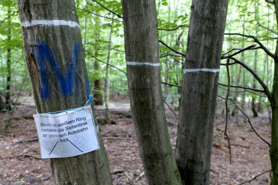 Dannenrode forest occupation 2020-08-21 105