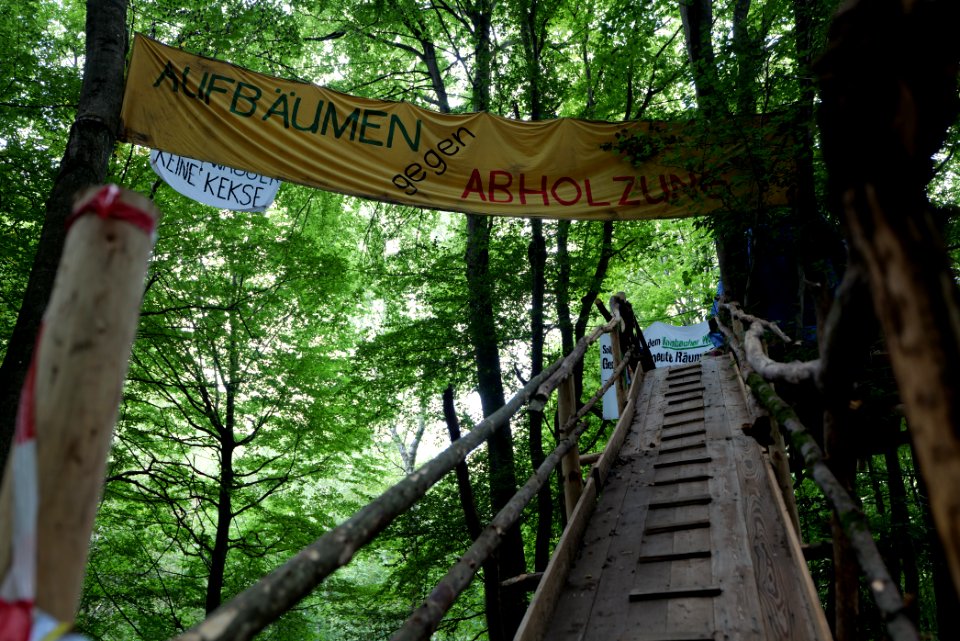Dannenrode forest occupation 2020-08-21 113