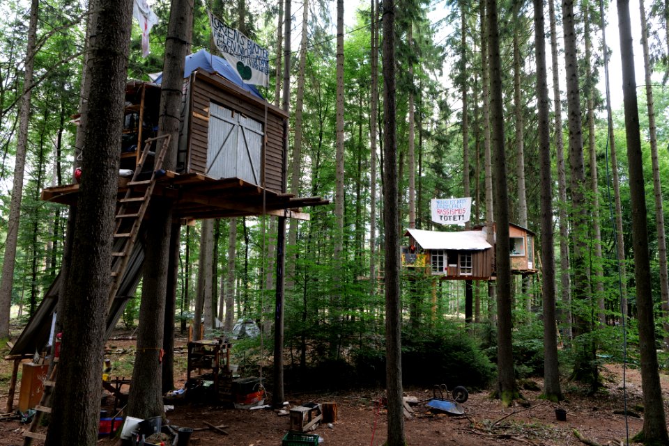 Dannenrode forest occupation 2020-08-21 152