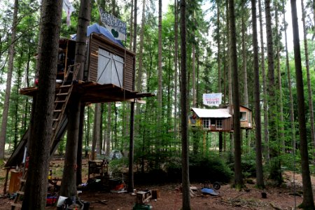 Dannenrode forest occupation 2020-08-21 152