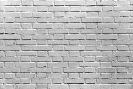 Wall bricks baird