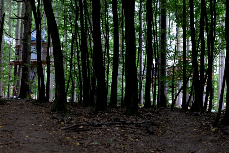 Dannenrode forest occupation 2020-08-21 162