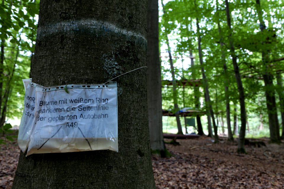 Dannenrode forest occupation 2020-08-21 11