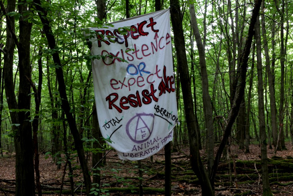 Dannenrode forest occupation 2020-08-21 24