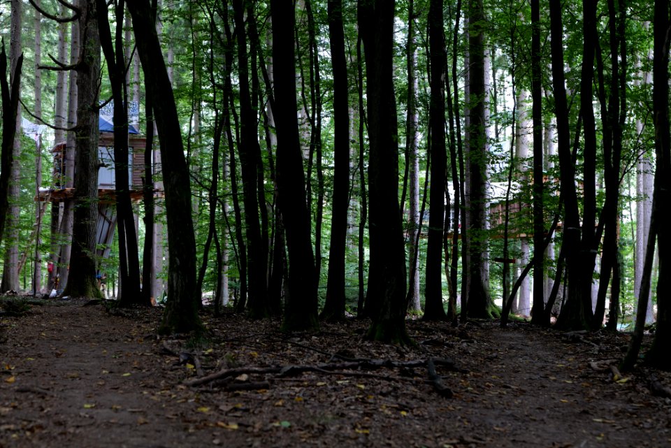 Dannenrode forest occupation 2020-08-21 160