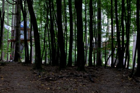 Dannenrode forest occupation 2020-08-21 160