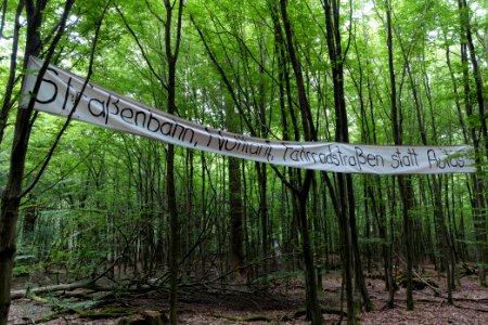 Dannenrode forest occupation 2020-08-21 17