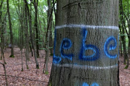 Dannenrode forest occupation 2020-08-21 25