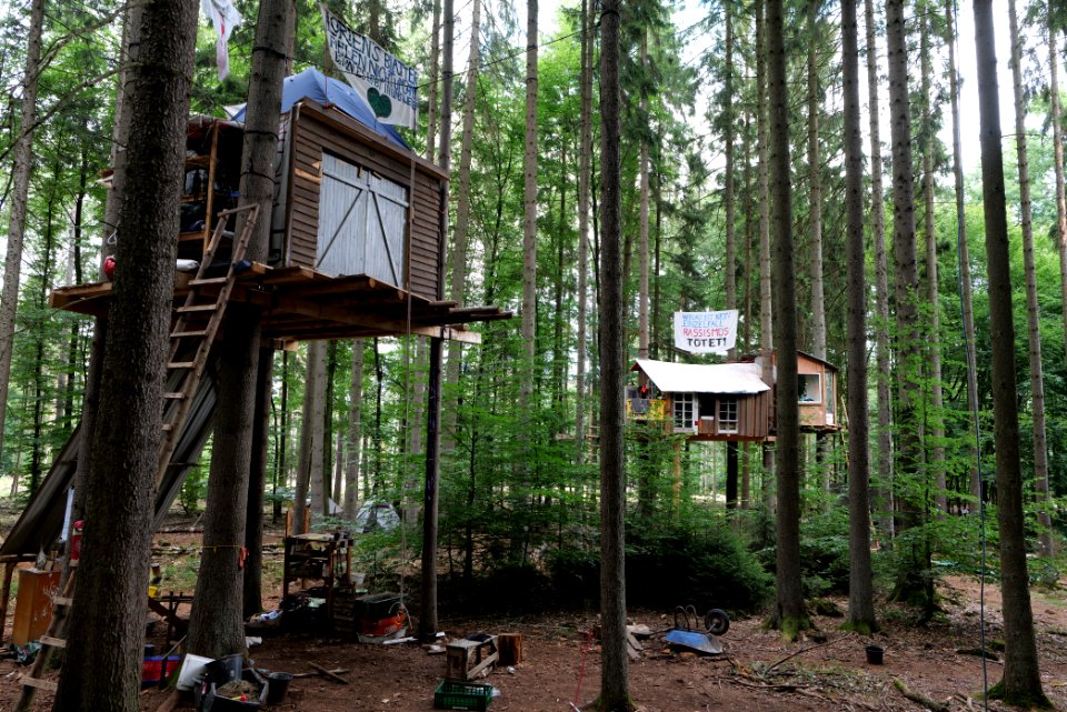 Dannenrode forest occupation 2020-08-21 154