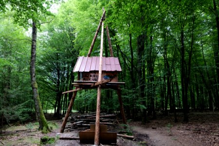 Dannenrode forest occupation 2020-08-21 127