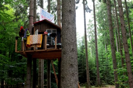 Dannenrode forest occupation 2020-08-21 147