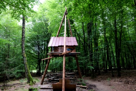 Dannenrode forest occupation 2020-08-21 126