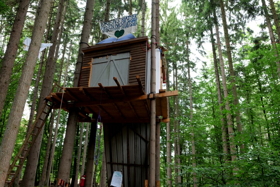 Dannenrode forest occupation 2020-08-21 137