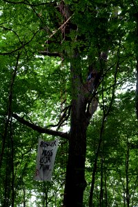 Dannenrode forest occupation 2020-08-21 20