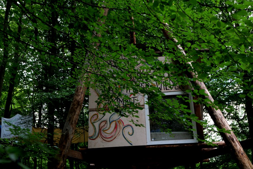 Dannenrode forest occupation 2020-08-21 132