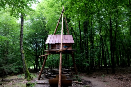 Dannenrode forest occupation 2020-08-21 129