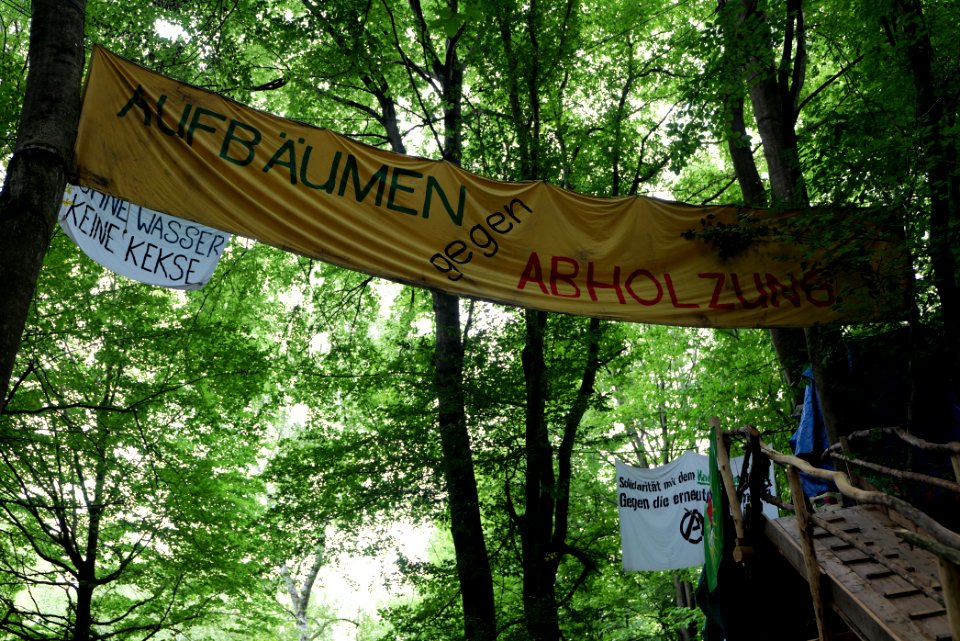Dannenrode forest occupation 2020-08-21 110