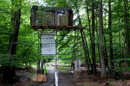 Dannenrode forest occupation 2020-08-21 135