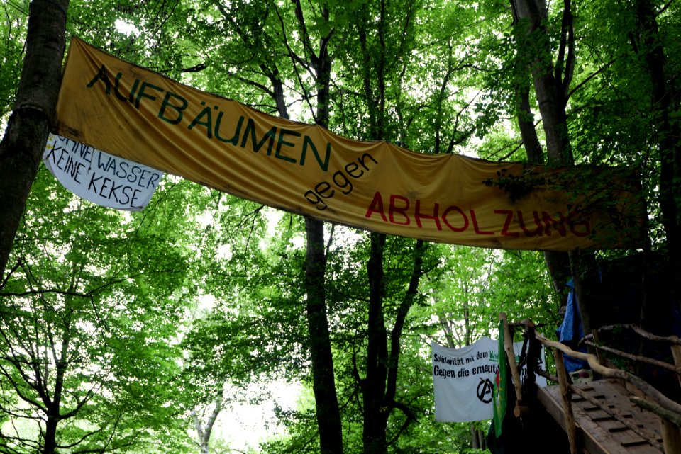 Dannenrode forest occupation 2020-08-21 111