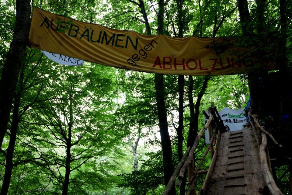 Dannenrode forest occupation 2020-08-21 112