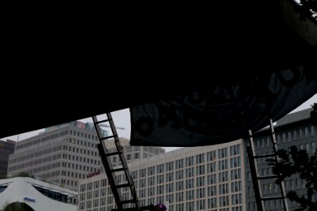 Dannenrod forest protest at Hesse representation Berlin 2020-10-02 17