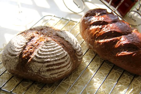 European breads gourmet baking