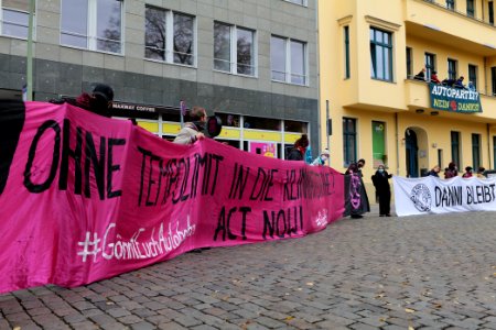 Dannenrod forest protest at green party headquarter Berlin 2020-10-28 76