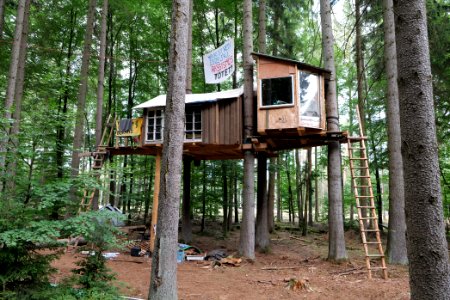 Dannenrode forest occupation 2020-08-21 141