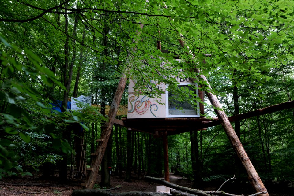Dannenrode forest occupation 2020-08-21 133