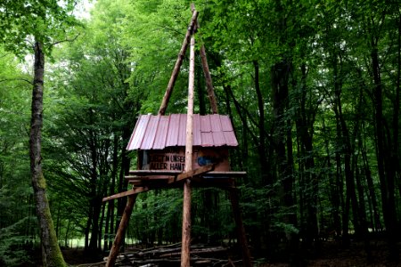Dannenrode forest occupation 2020-08-21 128